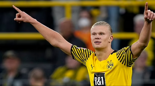 50%血线强制复活！《航海王启航》骨头吉教你什么叫绝地翻盘！